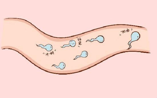 浙江50岁供卵机构_什么是继发性不孕？精子与卵