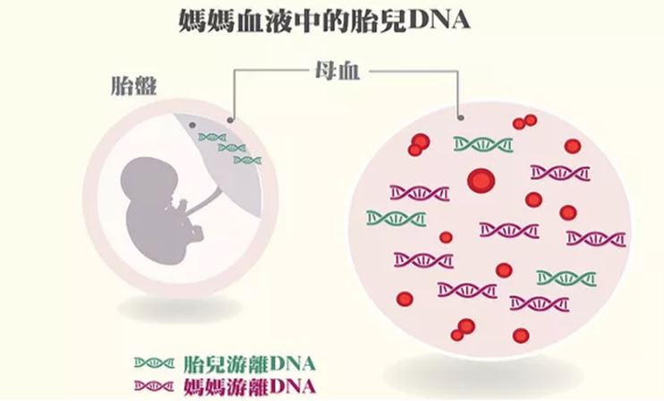 唐山代生公司联系电话-具有先进能力的可靠的陪