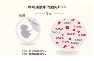 石家庄供卵试管哪家机构号-DNA亲子鉴定是否可靠