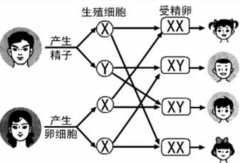 <strong>衡阳助孕公司交流群：众所周知，用于性</strong>