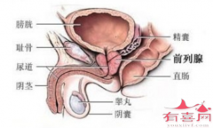 合肥供卵试管生子-前列腺肥大的人可以做